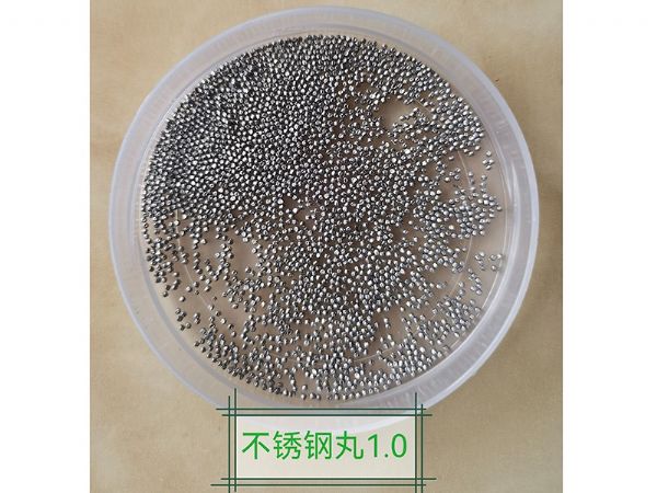 不锈钢丸